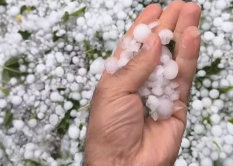 «Կոտրված ապակիներ, մերկացած ծառեր». Խոշոր կարկուտ ու փոթորիկ Լոռու Լորուտ գյուղում
