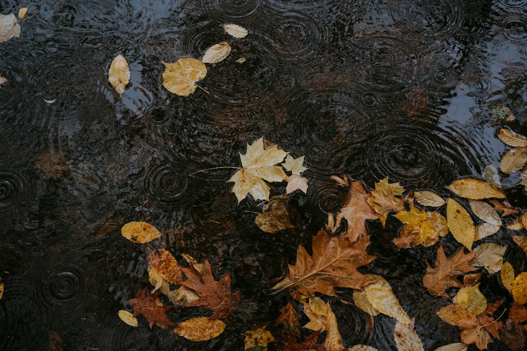 Precipitation is coming next week - weather in Armenia